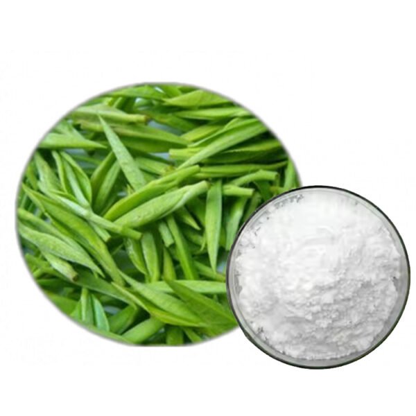 EGCG 95% Green Tea Extract – GRAS & Halal Certified Antioxidant for Detox and Slimming Beverages in Bulk Supply