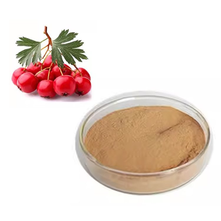 Hawthorn Extract 10.0% | EP Monograph | Cardiac Tonic Ingredient | Pharma-Grade Bulk Supply | Halal & Kosher Certified