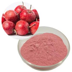 Hawthorn Fruit Powder – EP Monographed Crataegus Extract for Heart Health Teas & Cardiovascular Supplements | Organic, Halal, Kosher Certified | Bulk OEM Supply