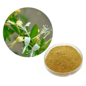 Honeysuckle Extract with 5% Chlorogenic Acid – Antiviral Herbal Ingredient | Organic Certified | Bulk Clean-Label Supply | cGMP-Compliant OEM/ODM**