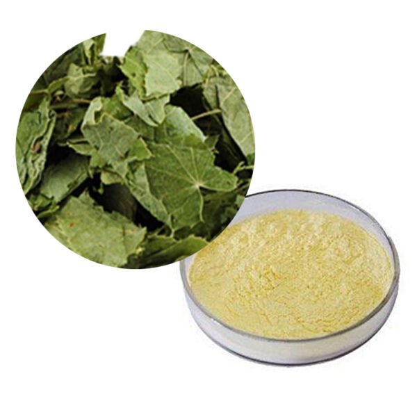 Icariin Extract – Adaptogenic Herb for Men’s Vitality, Energy Shots & Endurance Tonics in Certified Bulk Supply