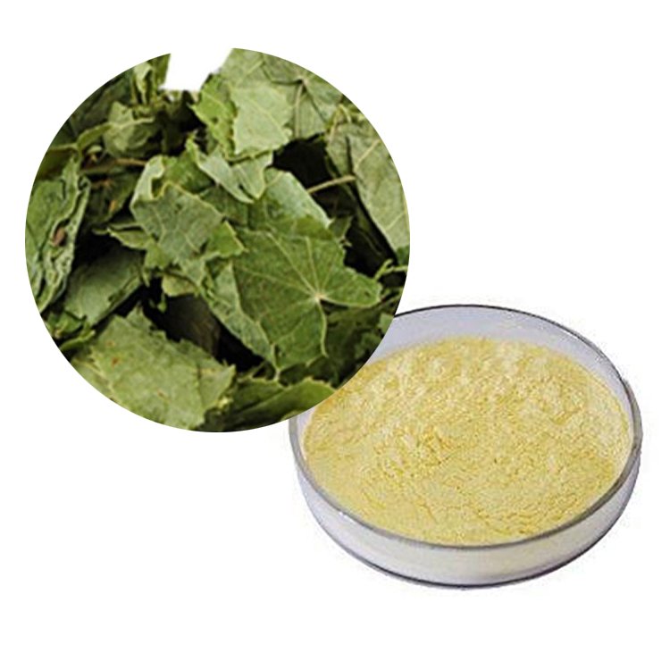 Icariin Extract – Adaptogenic Herb for Men’s Vitality, Energy Shots & Endurance Tonics in Certified Bulk Supply