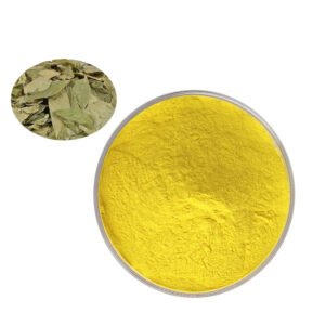 Icariin Extract – USP Grade Botanical API for Men’s Vitality & Bone Health | Bulk Supply for ED & Nutraceutical Formulations**