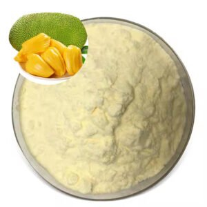 Jackfruit Powder – Textured Plant Protein for Vegan Meat Alternatives, Industrial-Scale Bulk Supply