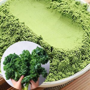 Kale Powder Rich in Chlorophyll & Leaf Protein – Vegan Detox & Protein Source | Bulk Supply with OEM/ODM Services