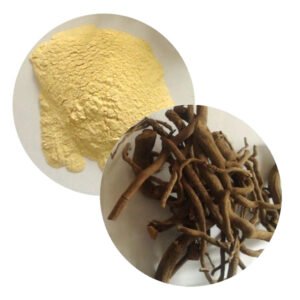 Piper Methysticum (Kava) Extract – 30–70% Kavalactones, cGMP & SGS Verified, Anxiolytic Botanical Ingredient for Mental Wellness Formulas**