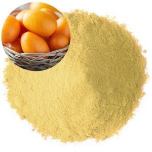 Kumquat Powder – Vitamin-Rich Citrus Bioflavonoid Ingredient for Confectionery Coatings & Tea Blends, cGMP Bulk Supply