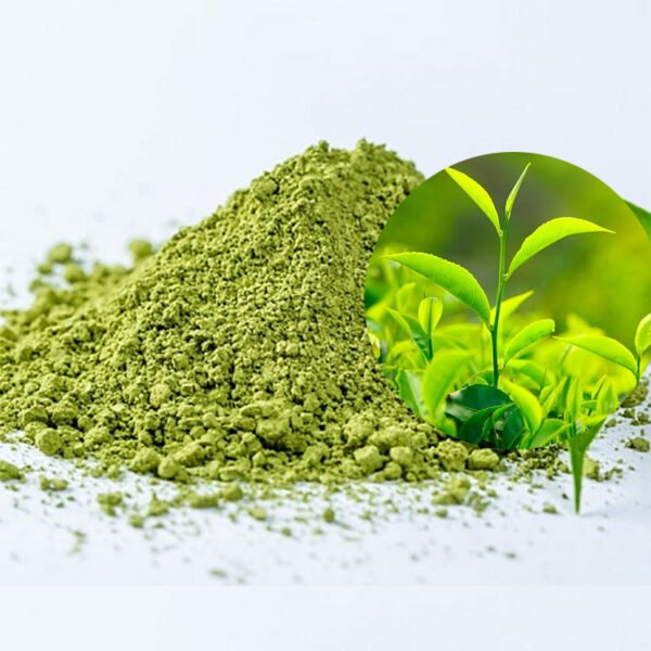 L-Theanine 99% – Suntheanine® Equivalent Premium Nootropic Ingredient for Stress Relief & Focus | cGMP Certified Bulk Supply**