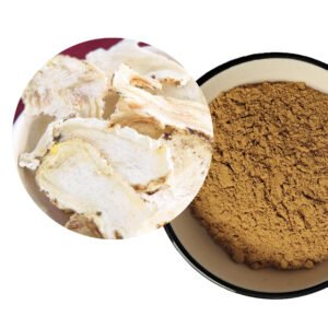 Ligustilide 7% Angelica Sinensis Extract – Organic TCM Blood Tonic | Women’s Health Support | Water Extract | Clean-Label Bulk Ingredient | OEM/ODM Supply**
