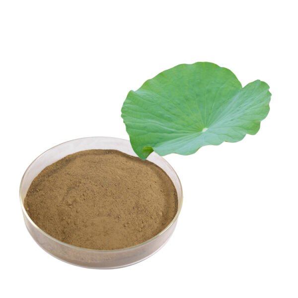 Lotus leaf extract FAMI-QS and Halal certified fat reducer for beef cattle weight management industrial-scale bulk supply
