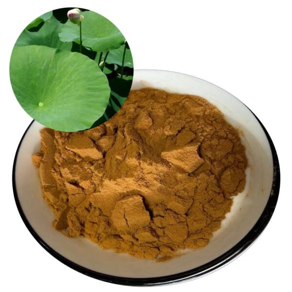 Lotus Leaf Extract – SGS, USDA, Halal Certified Ingredient for Metabolic Support, Detox Drinks & Weight Control in Global Bulk Supply