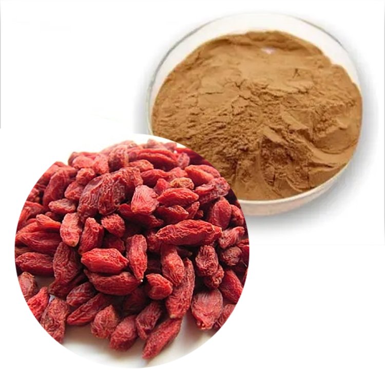 Lycium barbarum polysaccharides LBP GRAS ISO certified immune support and antioxidant for egg quality and pet wellness bulk export