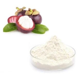 USDA Organic Mangosteen Powder Rich in Xanthones for Antioxidant & Immune Support