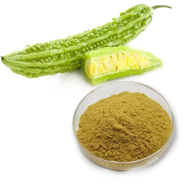 Momordica Extract – SGS, USDA, Halal Certified Herbal Ingredient for Blood Sugar Control & Diabetic-Friendly Beverages in Bulk Supply
