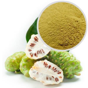 Pharma-Grade Noni Fruit Powder – Detox Alkaloid-Rich Superfruit for Fermented Beverages & Capsules, Bulk Supply