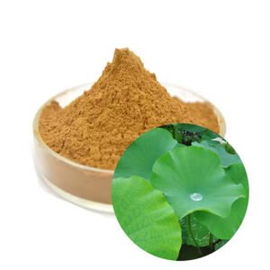 Nuciferine 2% Lotus Leaf Extract – Lipid Metabolism Regulator | Natural Weight Management Ingredient | Bulk Clean-Label Supply | OEM/ODM Formulations**