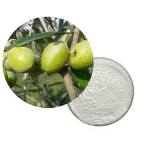 Oleanolic Acid 98% Olive Leaf Extract – Liver Health & Detox Support | Herbal API | cGMP & SGS Certified | Clean-Label Bulk Supply for Supplements & Functional Formulations**