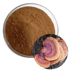 Organic Ganoderma Lucidum Polysaccharides Extract 30%-50% – USDA Organic, cGMP Certified, Halal & Kosher Dual Certified Immune Support Ingredient