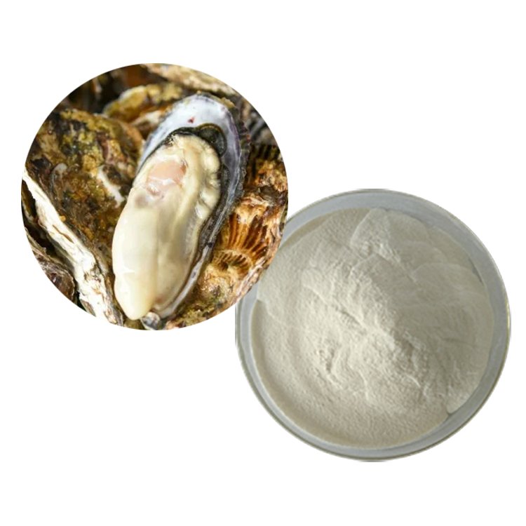 Oyster Peptide | Zinc-Rich Marine Peptide Complex for Immunity & Pediatric Nutrition | Kosher Certified Bulk Supply