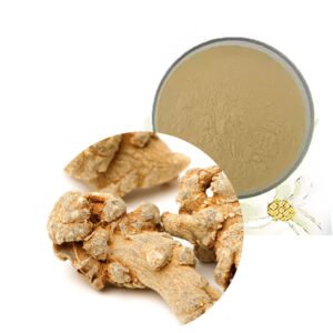 Panax Notoginseng Extract – 10%–80% Ginsenosides | Water & Ethanol Extracted API | Skincare, Supplements & Functional Foods | cGMP, Halal, Kosher Certified**