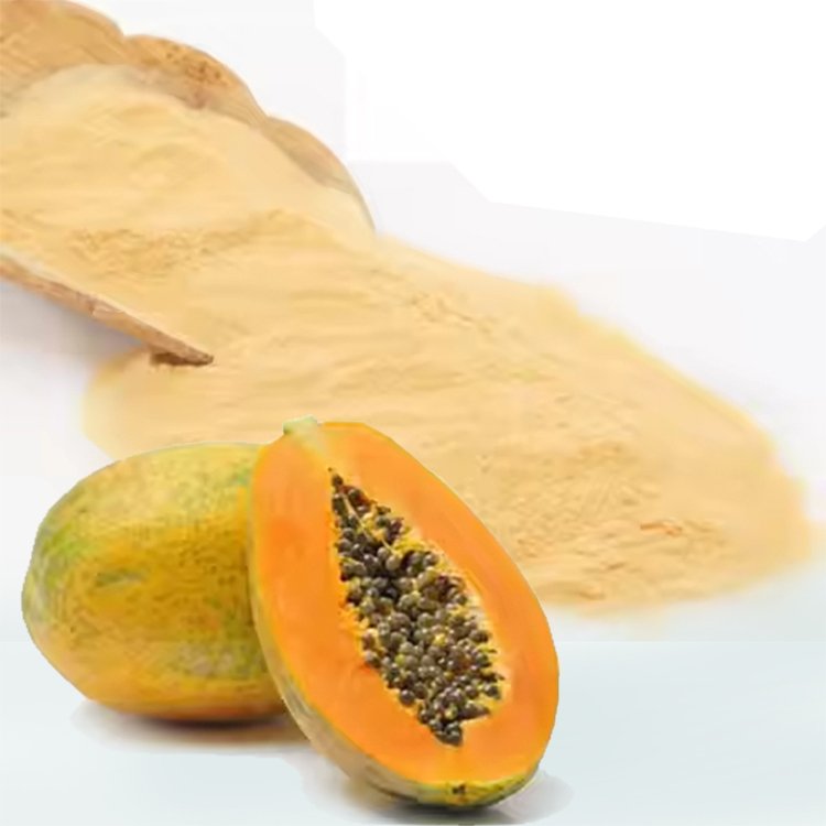 Papaya Powder with Papain Enzyme – Digestive Support & Topical Wound Care Ingredient, cGMP Bulk Supply