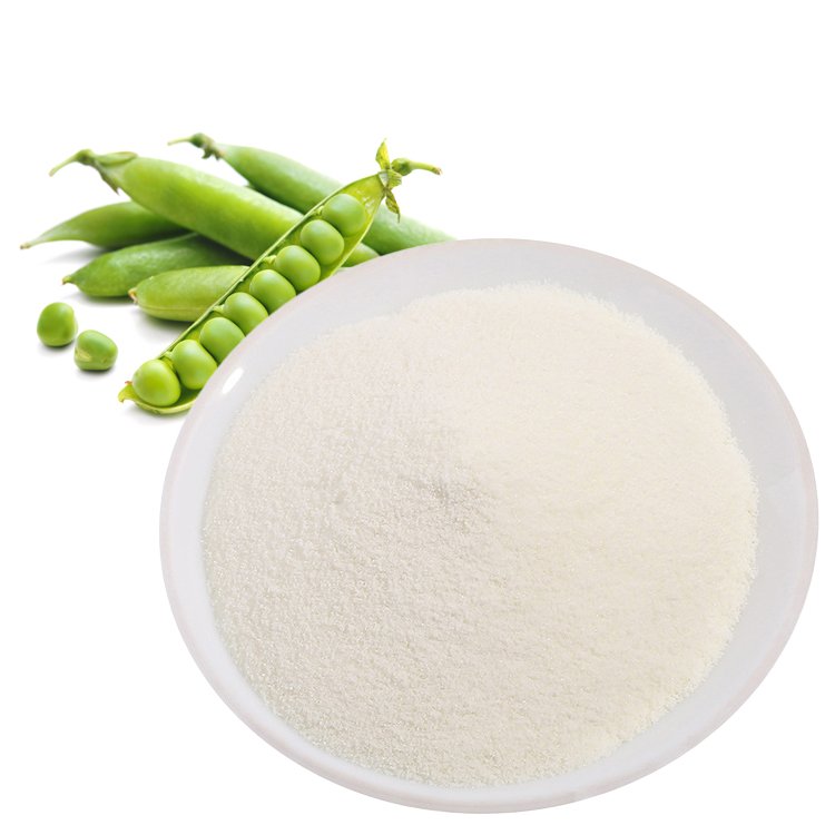 Pea Peptide | Plant-Based Vegan BCAA Protein | Muscle Recovery & Meat Alternative Ingredient | cGMP Bulk Supply
