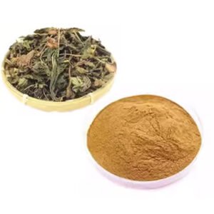 Organic Perilla Leaf Extract – Anti-Allergy & Skin Soothing TCM Ingredient for Respiratory Care & Calming Skincare