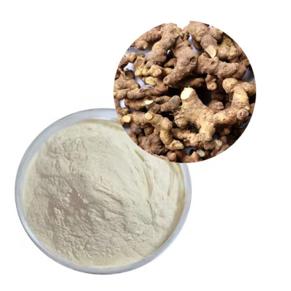 Polygonatum Peptide TCM Longevity Tonic | Anti-Aging & Energy Boost | Bulk Supply OEM/ODM
