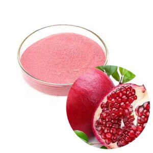 Pomegranate Juice Powder – 40% Ellagic Acid for Heart Health Supplements & Functional Juices, Bulk Supply