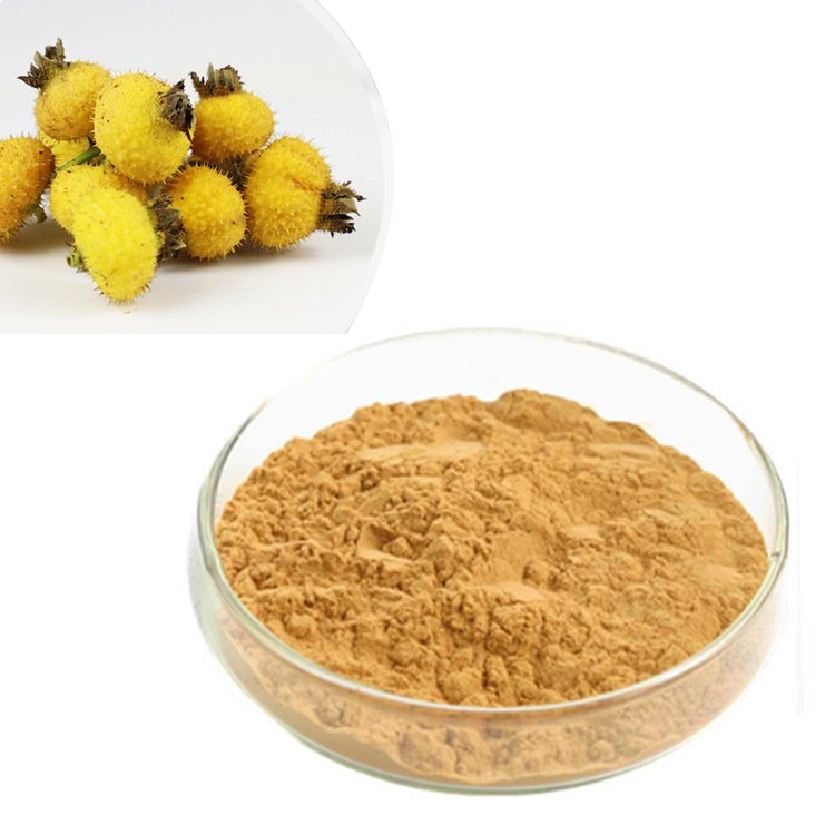 Prickly Pear Powder – Antioxidant-Rich Betanin Cactus Extract for Energy Drinks & Anti-Inflammatory Formulas, Bulk Supply