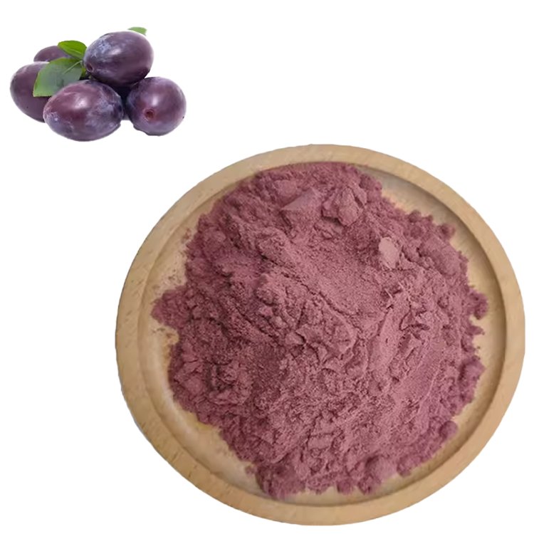 Prune Powder – Natural Fiber & Sorbitol for Gut Health, Digestive Support & Elderly Nutrition | Bulk Supply & OEM/ODM