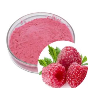 Raspberry Powder – Rich in Ellagic Acid Antioxidants for Skincare Serums & Functional Jams | USDA Organic Certified | Bulk Clean-Label Ingredient Supply