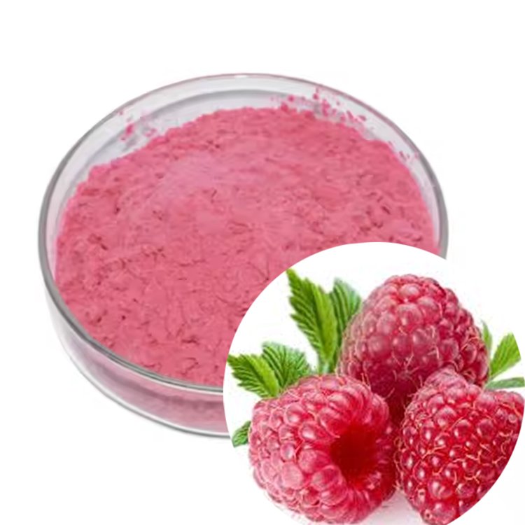 Raspberry Powder – Rich in Ellagic Acid Antioxidants for Skincare Serums & Functional Jams | USDA Organic Certified | Bulk Clean-Label Ingredient Supply