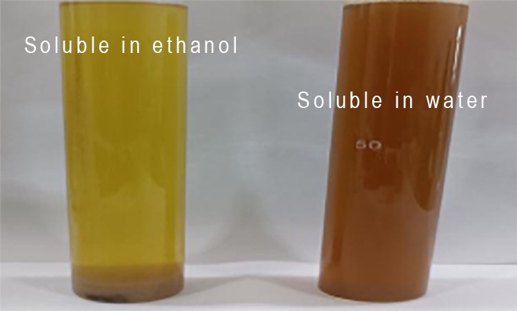 Rosmarinic acid is soluble in water and alcohol.
