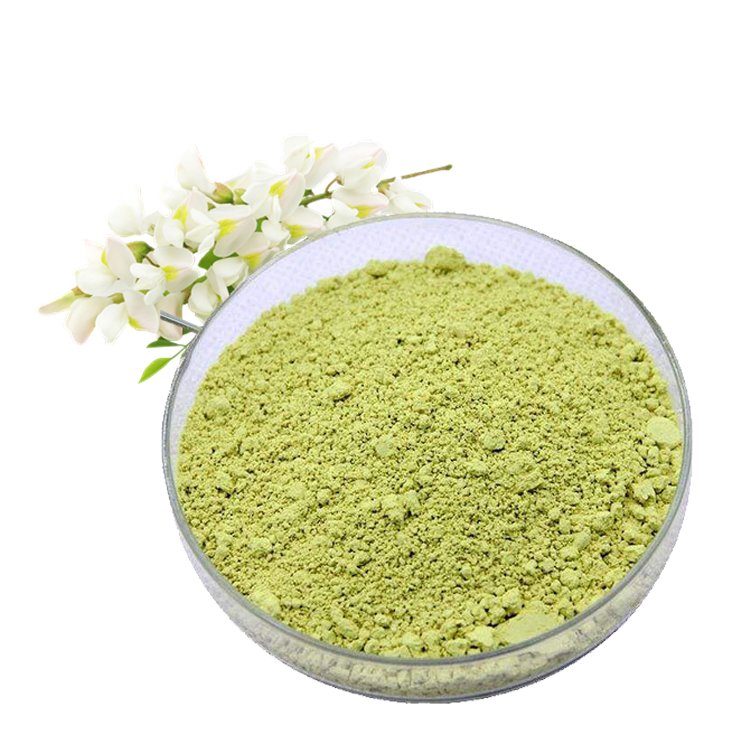 Premium Rutin supplement Vitamin P antioxidant anti-inflammatory capillary protection ISO certified herbal extract