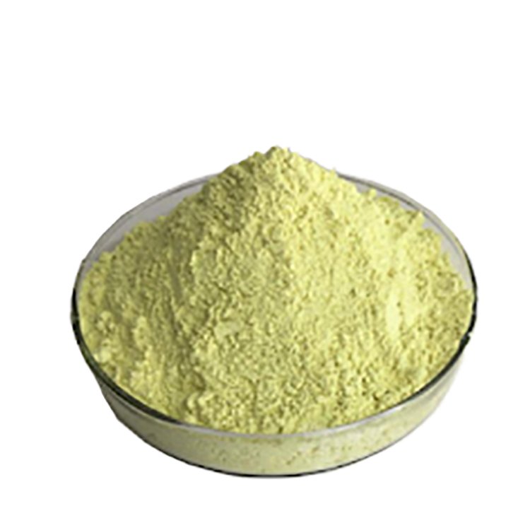 Rutin Microsphere – Quercetin Precursor UV Filter for Anti-Aging & Sun Care Formulations
