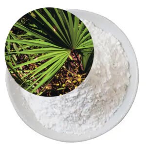 Saw Palmetto Extract – 5%–80% Fatty Acids, Halal & Kosher Certified, cGMP-Grade Bulk Ingredient for Prostate Health Supplements & Men’s Formulas**