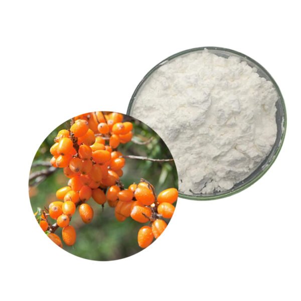Sea Buckthorn Peptide | Eye Health & Mucosal Repair Support | Pharma-Grade Bulk Ingredient