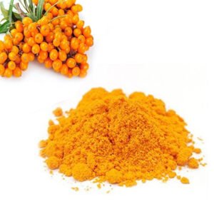 Pharma-Grade Sea Buckthorn Powder – Omega-7 Rich, EP Monographed for Mucosal Repair & Anti-Aging Formulations