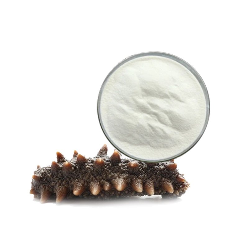 Sea Cucumber Marine Peptide Powder | Immune Boost & Recovery Ingredient | Halal & cGMP Certified Bulk Supply