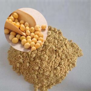 Soy Isoflavones 40% – Non-GMO Menopause & Bone Health Support | IP-PHYTO Certified API | Pharmaceutical-Grade Bulk Supply | OEM/ODM Solutions**