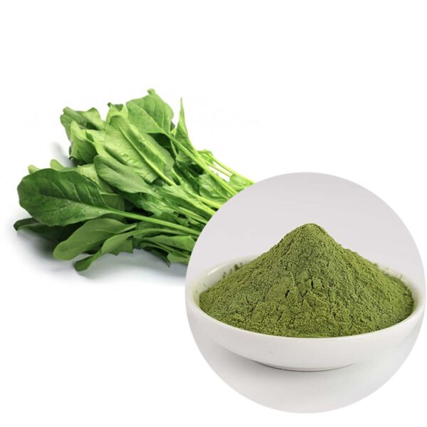 Pharma-Grade Spinach Powder – Iron-Rich, 30% Leaf Protein for Vegan Meat Analogs & Baby Food, Bulk Supply