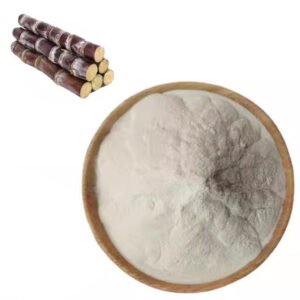 Sugarcane Powder – Molasses-Rich Mineral Boost Ingredient for Energy Bars & Sweets | Halal Certified | cGMP Bulk Supply