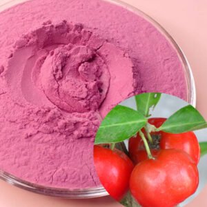USDA Organic Sweet Cherry Powder – Natural Melatonin Source for Sleep Aid & Recovery | Bulk & OEM/ODM Supply
