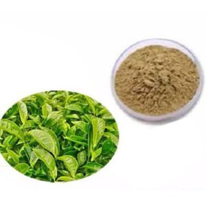 Tea Polyphenols 50% EGCG – Potent Free Radical Scavenger & SPF Booster | Certified Bulk Ingredient for Skincare & Nutraceutical Formulations**