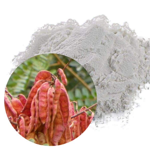 Natural Tragacanth Gum E413 thickener stabilizer emulsifier for food pharmaceutical and cosmetic use