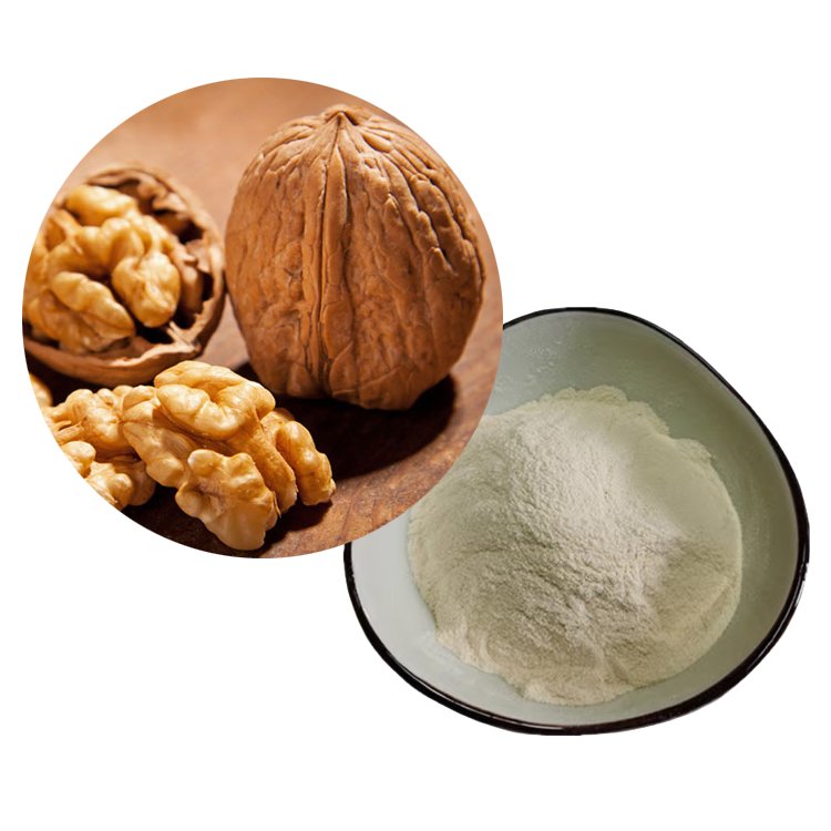 Walnut Peptides DHA-Enriched | Brain & Memory Nutrition Ingredient | Bulk Supply for Cognitive Supplements