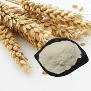 Wheat Oligopeptide | GRAS-Certified Digestive Peptide for Gut Health, Infant Formula & Senior Nutrition | cGMP Halal Kosher Bulk Supply