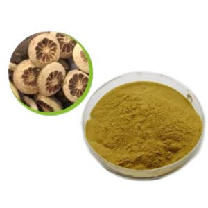 Zhike Extract | TCM-GMP Certified Digestive Herb | Functional Dyspepsia Relief | Halal & Kosher Bulk Export