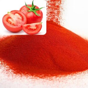 Tomato Powder with 5% Lycopene – EFSA-Approved Ingredient for Heart Health, Vegan Cheese & Functional Nutrition Formulations in Bulk OEM Supply